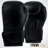 Boxing Gloves Sparring Muay Thai